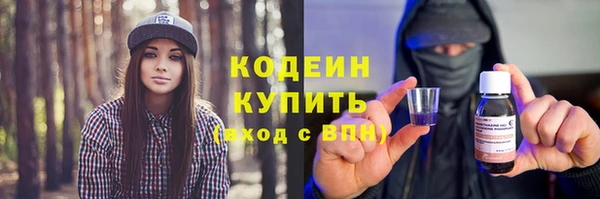 амф Няндома
