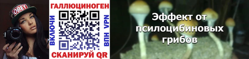 Галлюциногенные грибы мухоморы  Петушки 
